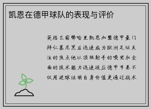凯恩在德甲球队的表现与评价